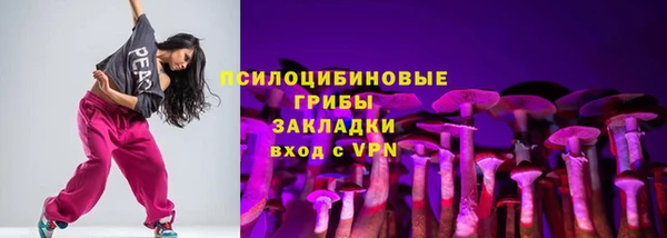 стаф Кинешма