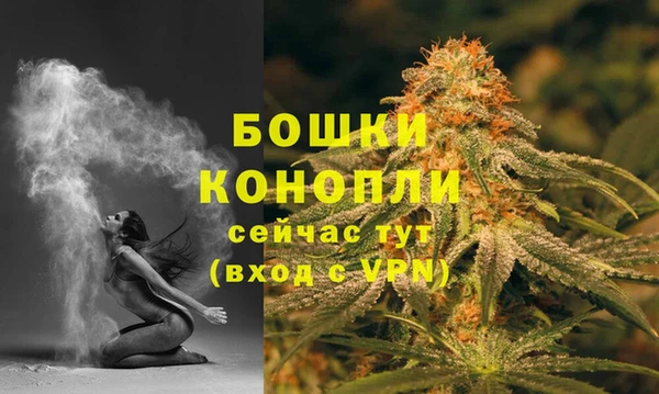 стаф Кинешма