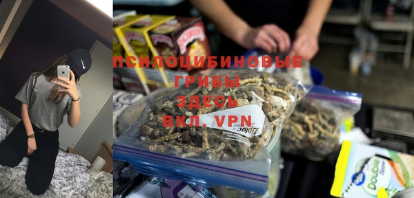 стаф Кинешма