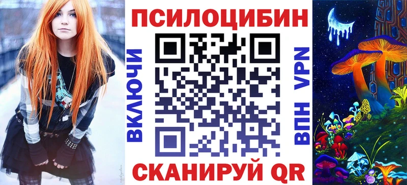 Купить закладки  Калач  Псилоцибиновые грибы мицелий 