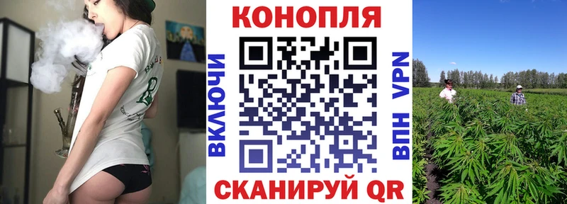 Конопля семена Калач